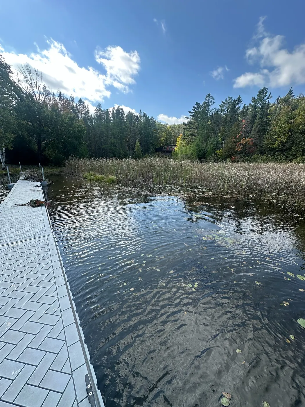 Clear channel beside a dock after weed removal
