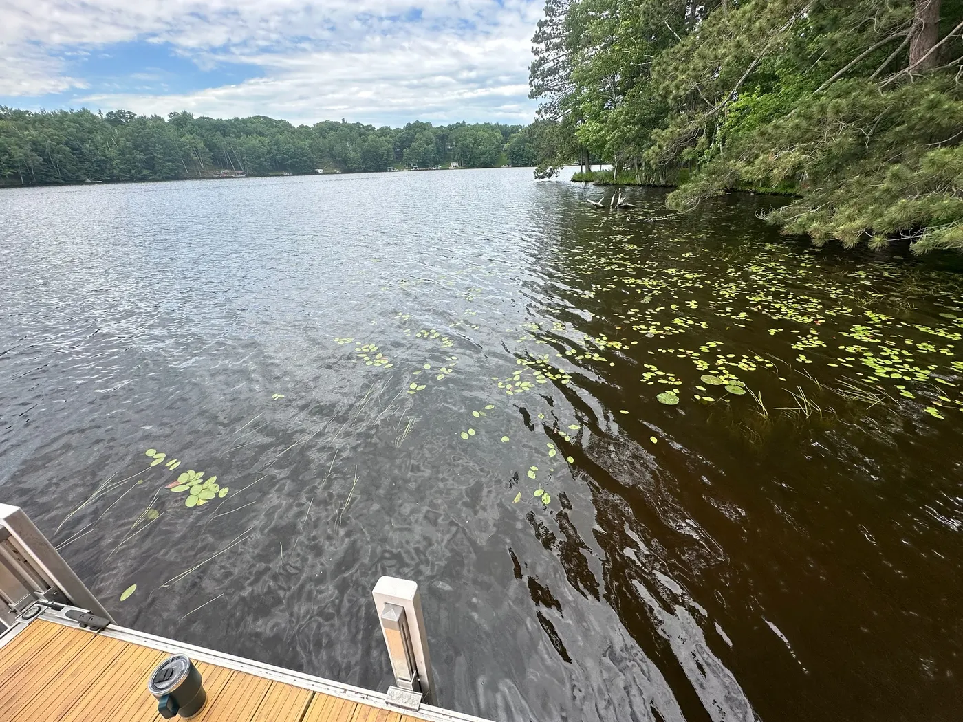 Open water alongside a dock after aquatic weed removal
