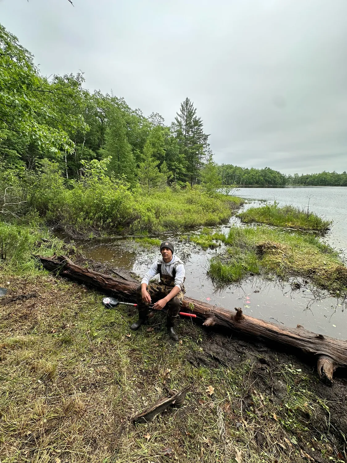 Shoreline cleared by hand after aquatic weed removal