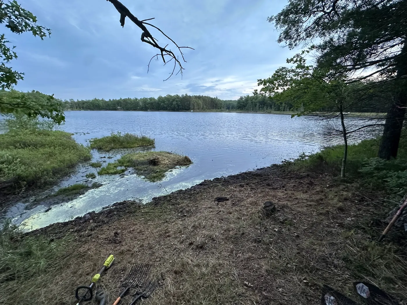 Restored natural shoreline after clearing